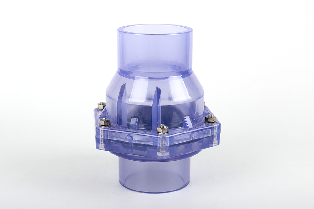 武穴透明翻板式止回阀